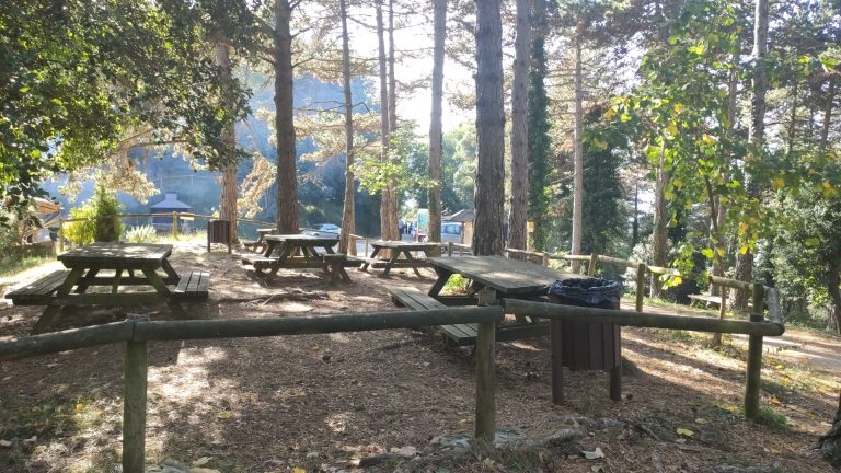 IMG20221112125627898 768x432