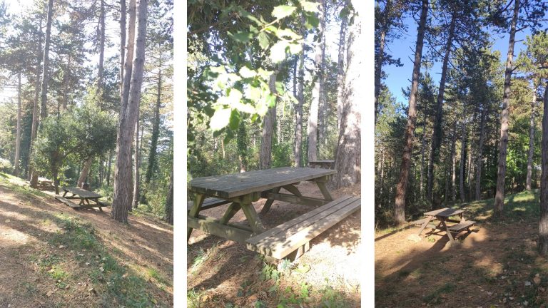 area recreativa xenacs les preses mappicnic 768x432