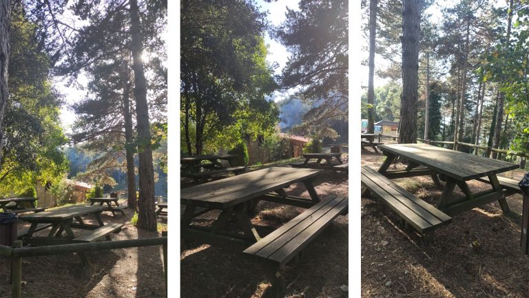 area recreativa xenacs les preses zona bar mappicnic 768x432