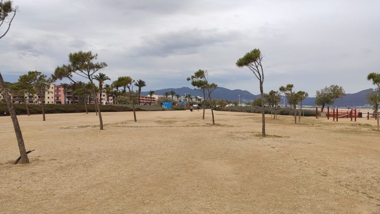 IMG 20230520 164809 768x432