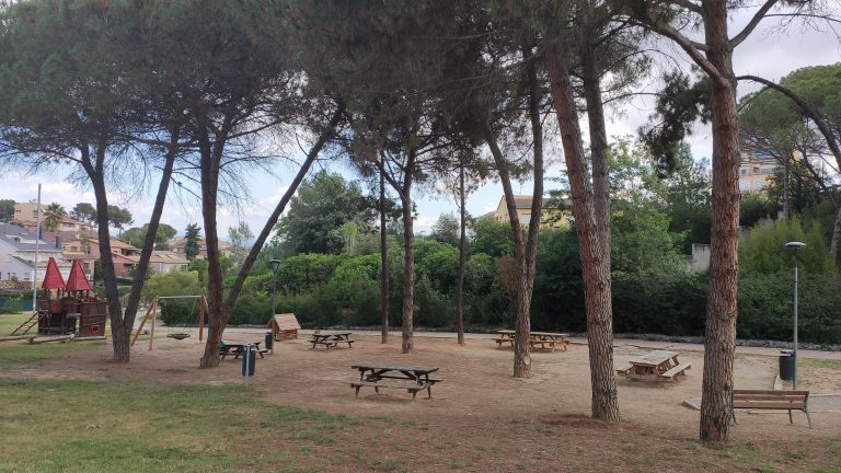 IMG 20230703 105246 768x432