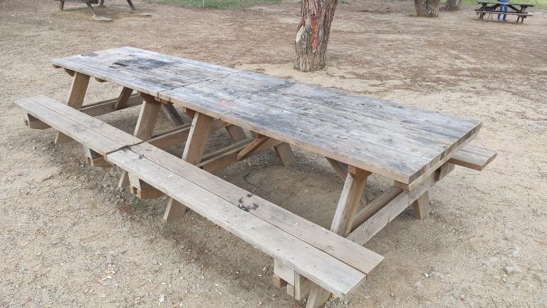 IMG 20230703 105537 768x432