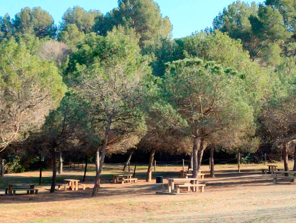 Parc de can cuias area picnic del fondal montcada i reixac