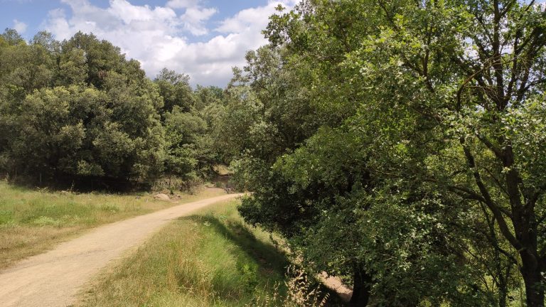 Acceso desde la via verde carrilet I al Gorg den Valls sant feliu de pallerols2 1 768x432