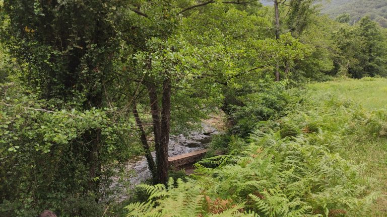 Font del music i riu brugent sant feliu de pallerols2 1 768x432