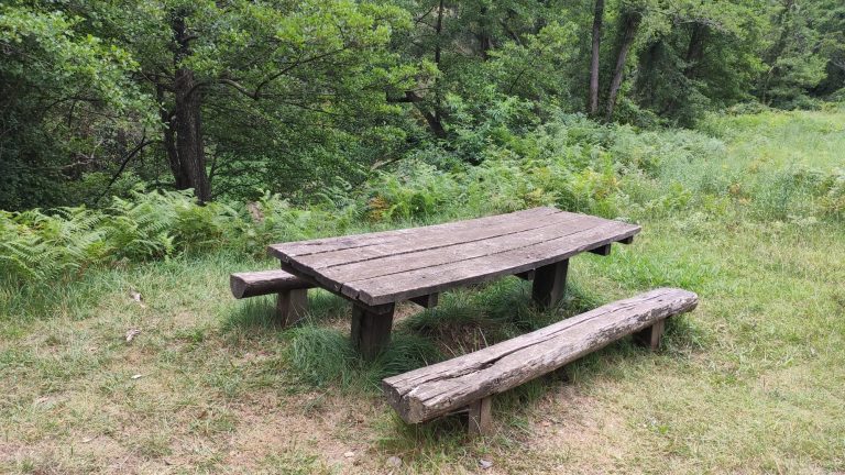 mesa de picnic gorg den valls sant feliu de pallerols 1 768x432