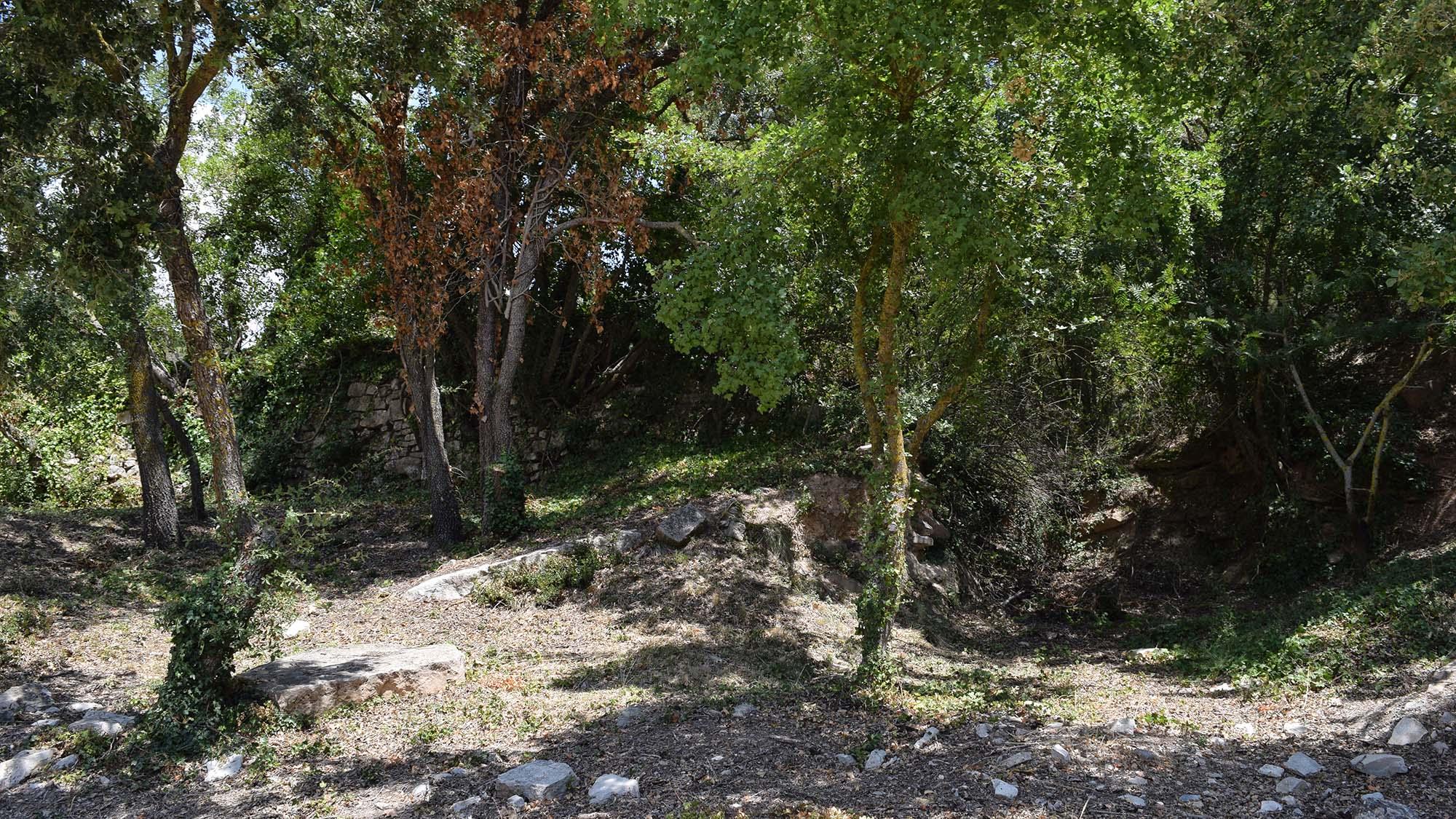 picnic La font voltada passanant i belltall bosque mappicnic