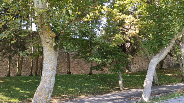 IMG 20220902 104809 768x432