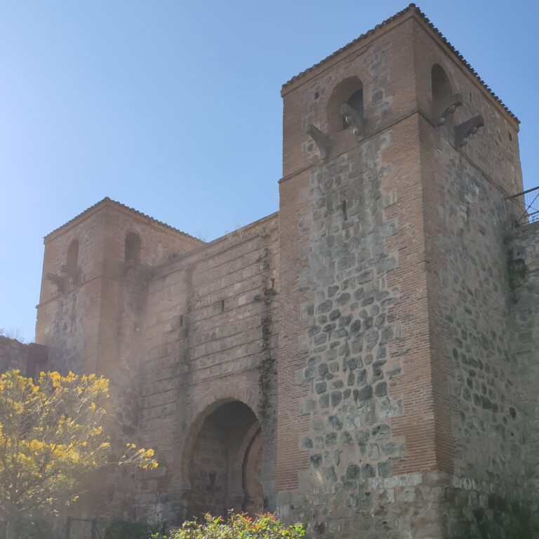 IMG 20220902 104844C 768x768