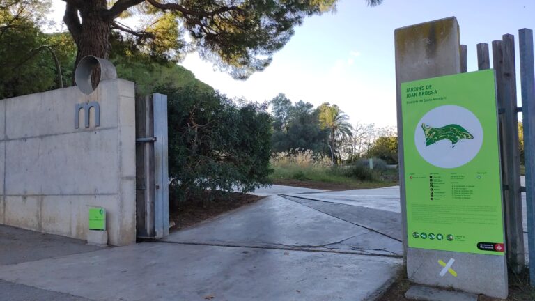 IMG 20231203 151642 768x432