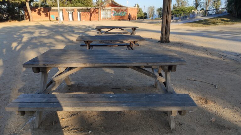 IMG 20231203 153036 768x432