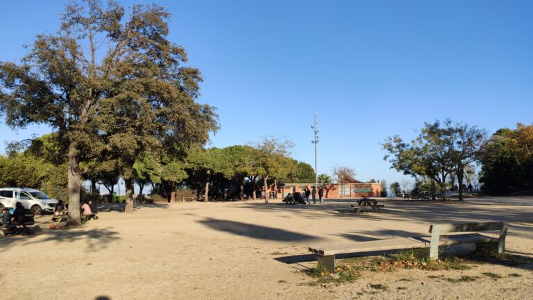 IMG 20231203 153837 768x432