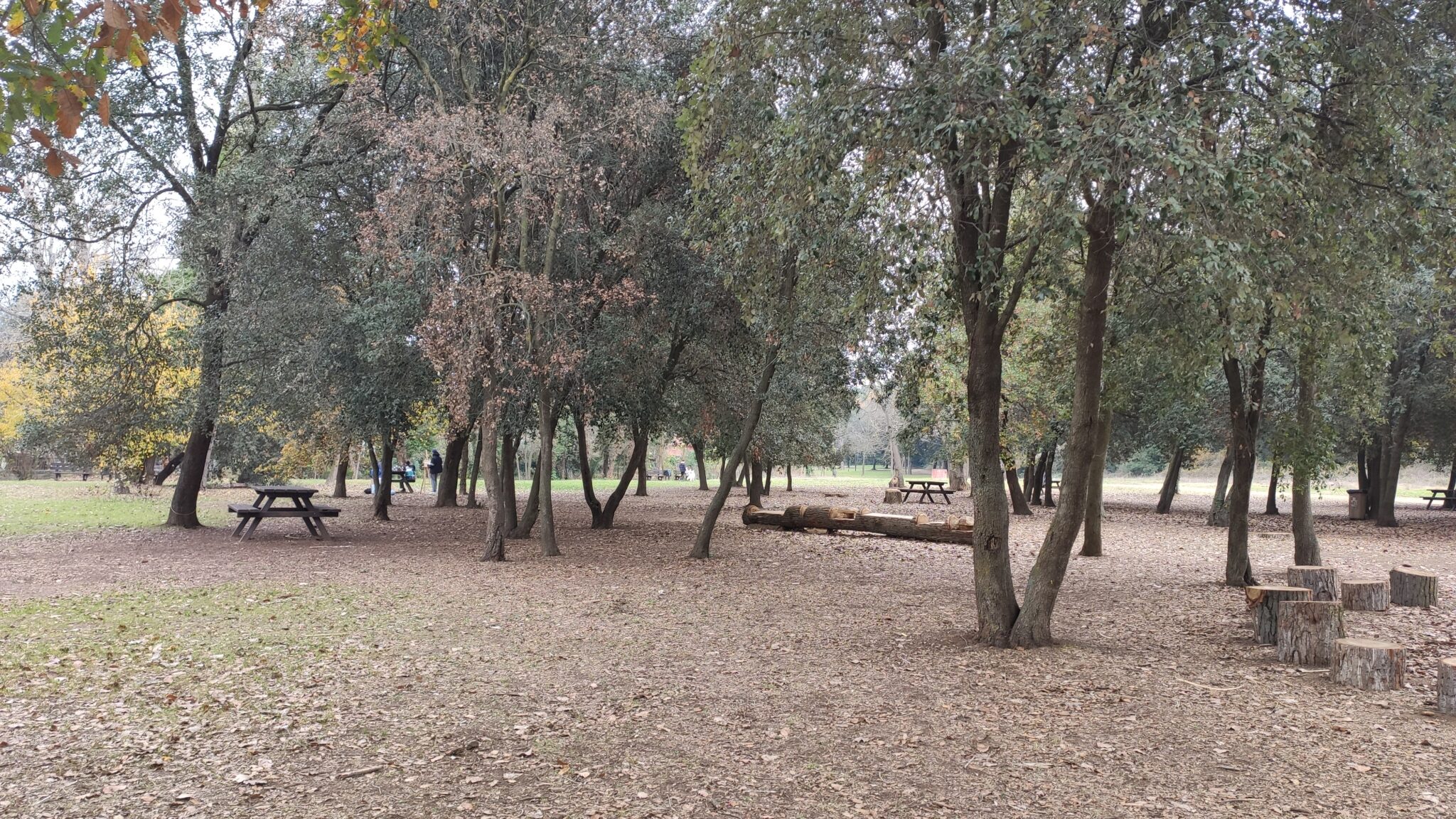 IMG 20221211 121423 2048x1152