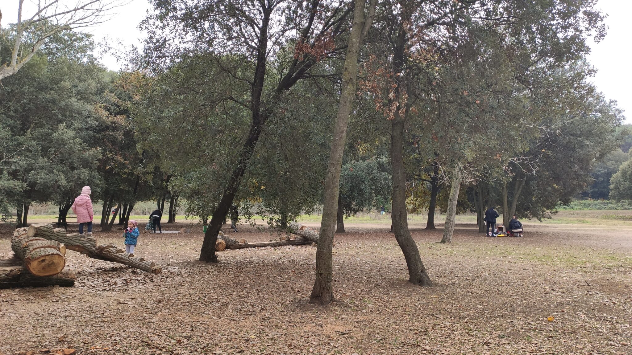 IMG 20221211 121431 2048x1152