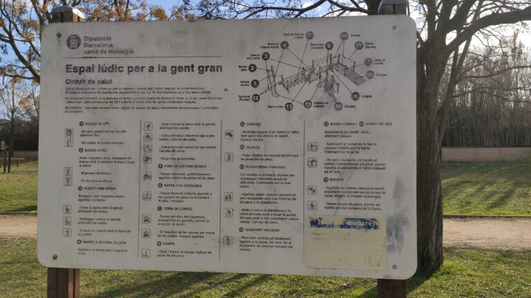 IMG 20230209 111337 768x432