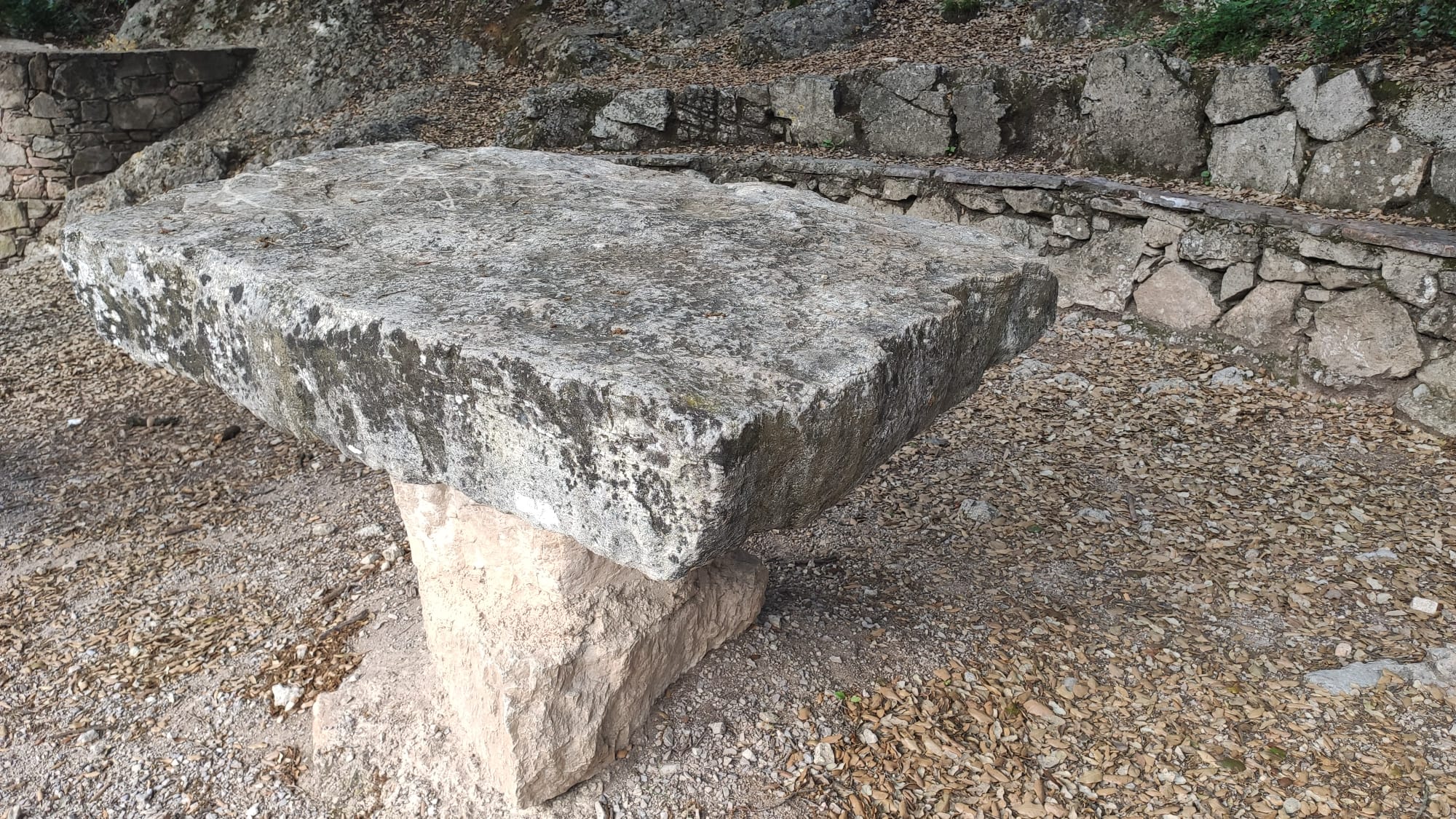 IMG 20240316 WA00121