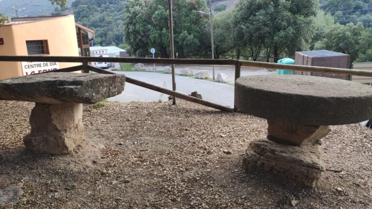 IMG 20240316 WA0023 768x432