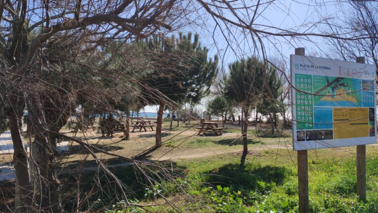 IMG 20240211 135439 1 768x432