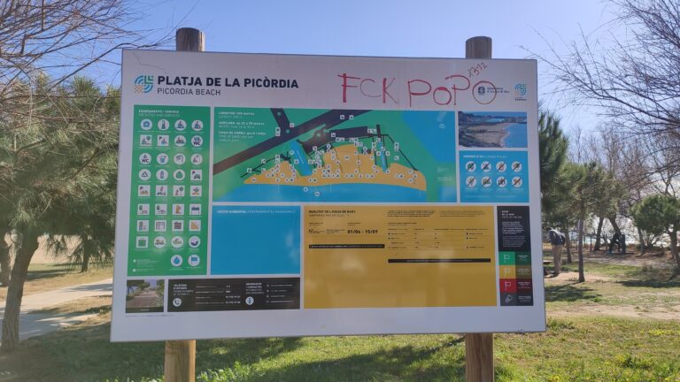 IMG 20240211 135508 768x432