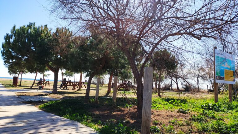 IMG 20240211 135538 1 768x432