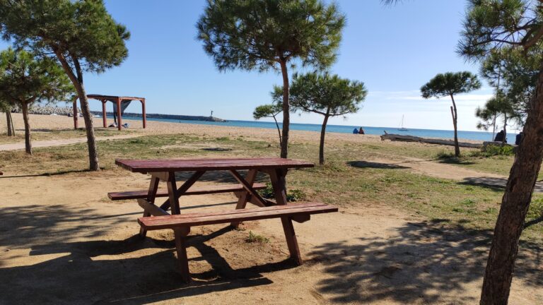 IMG 20240211 135618 768x432