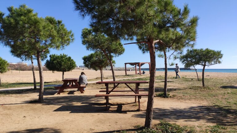 IMG 20240211 135837 768x432