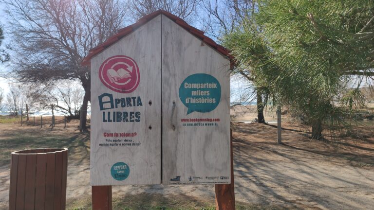 IMG 20240211 135854 1 768x432