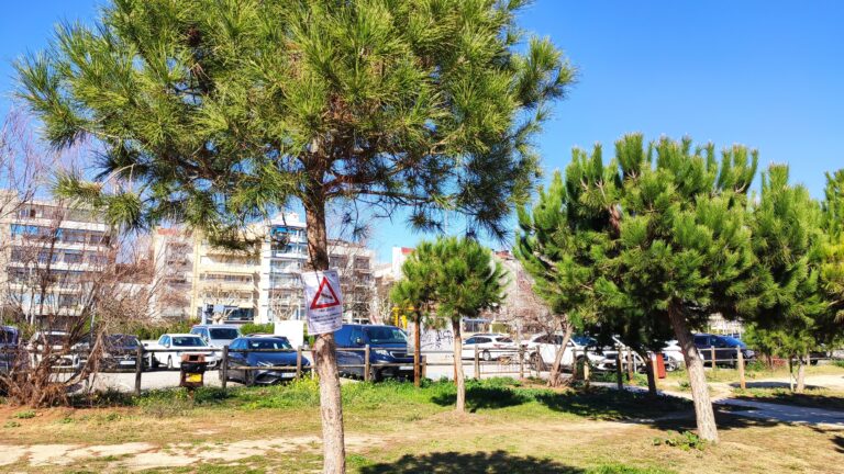 IMG 20240211 135905 768x432