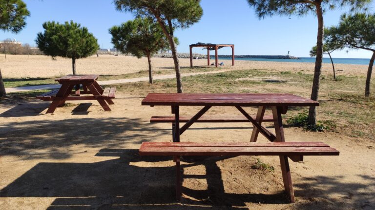 IMG 20240211 140438 768x432