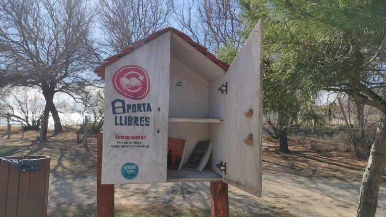 IMG 20240211 141840 1 768x432