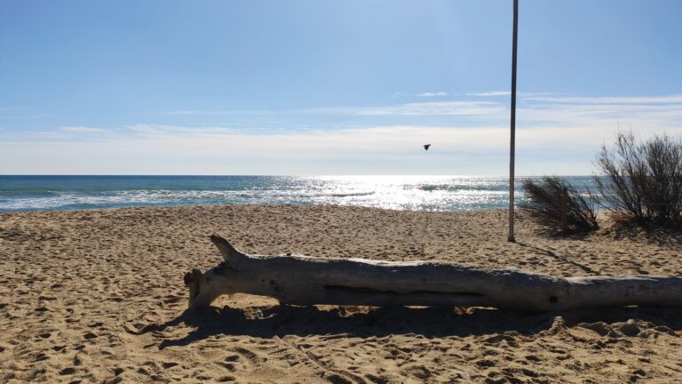 IMG 20240211 141948 768x432