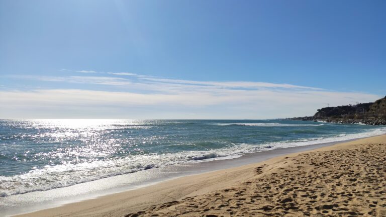 IMG 20240211 142100 768x432