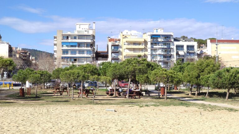 IMG 20240211 142225 ret 768x432