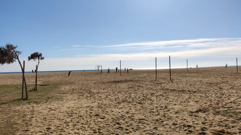 IMG 20240211 143247 768x432