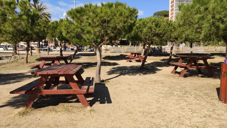 IMG 20240211 143409 768x432