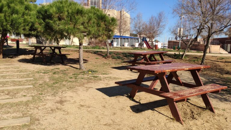 IMG 20240211 143420 768x432