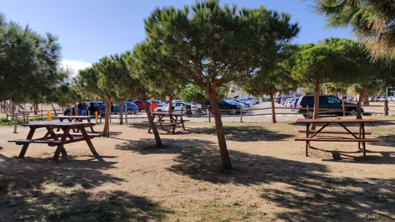 IMG 20240211 143449 768x432