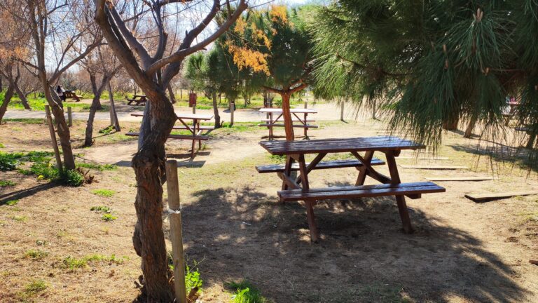 IMG 20240211 143511 768x432