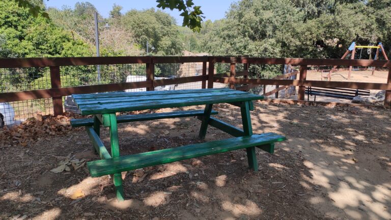 zona de picnic saus camallera i llampaies 768x432