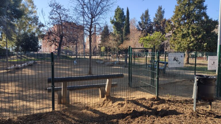 IMG 20240205 111649 768x432