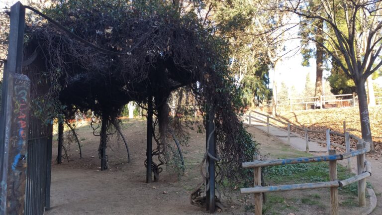 IMG 20240205 112220 768x432