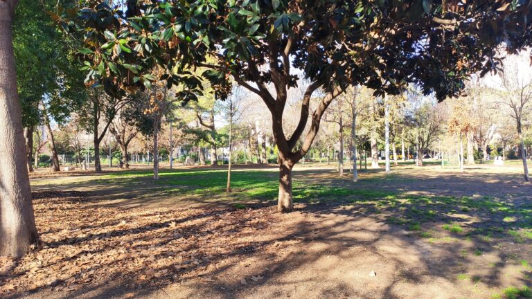 IMG 20240205 113055 768x432