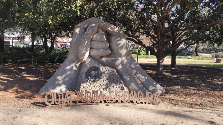 IMG 20240205 113423 768x432