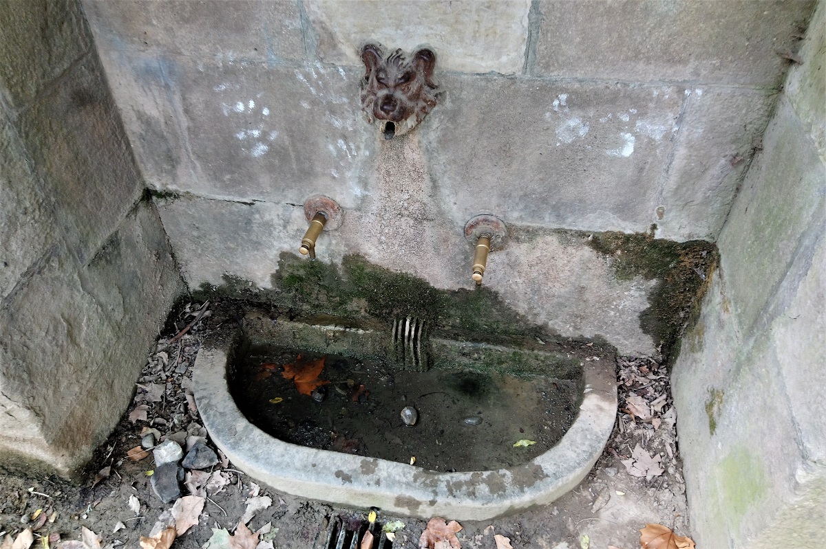 Font del Sant Ripoll 3