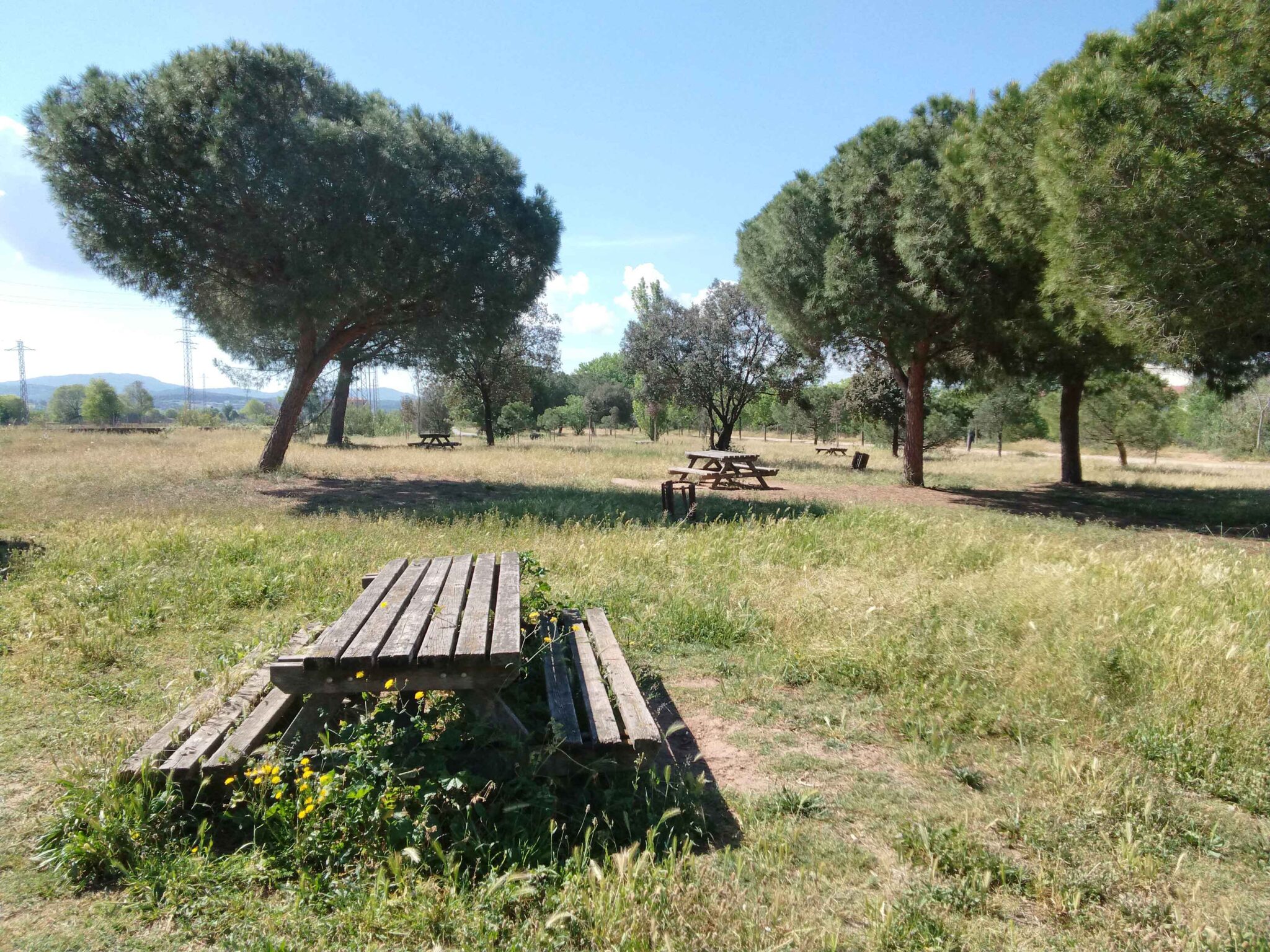 Granollers picnic Parc fluvial Parc Firal cami a palou 2048x1536