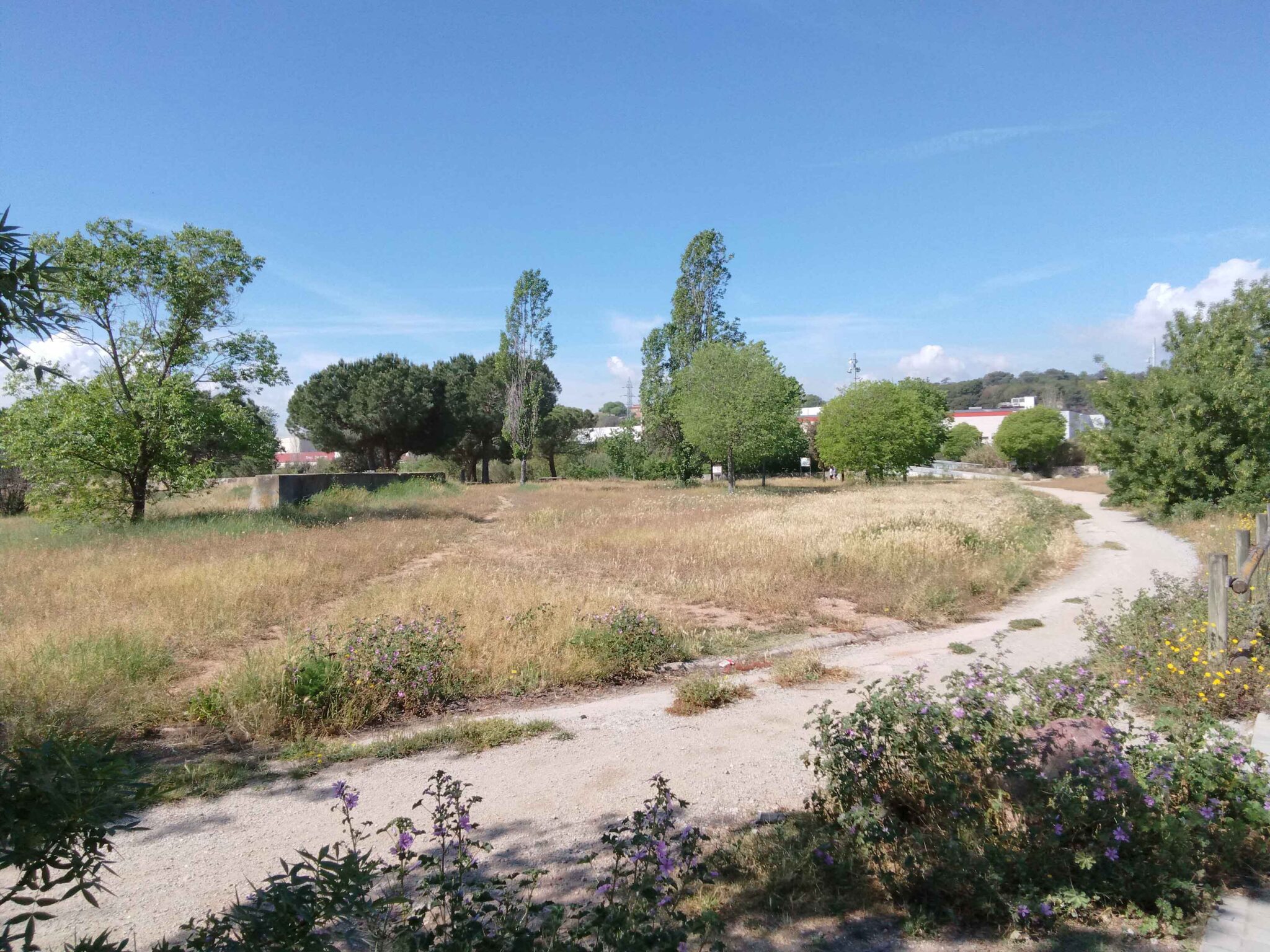 Granollers picnic Parc fluvial Parc Firal cami a palou17 2048x1536