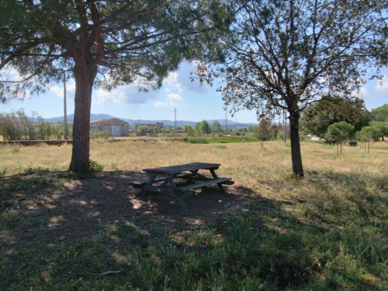 Granollers picnic Parc fluvial Parc Firal cami a palou5 768x576