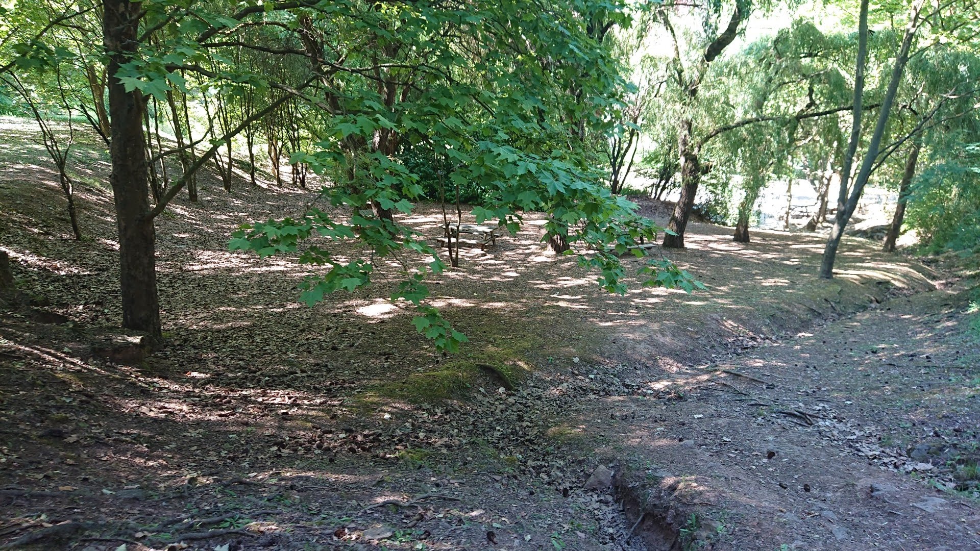 IMG20220708170623363