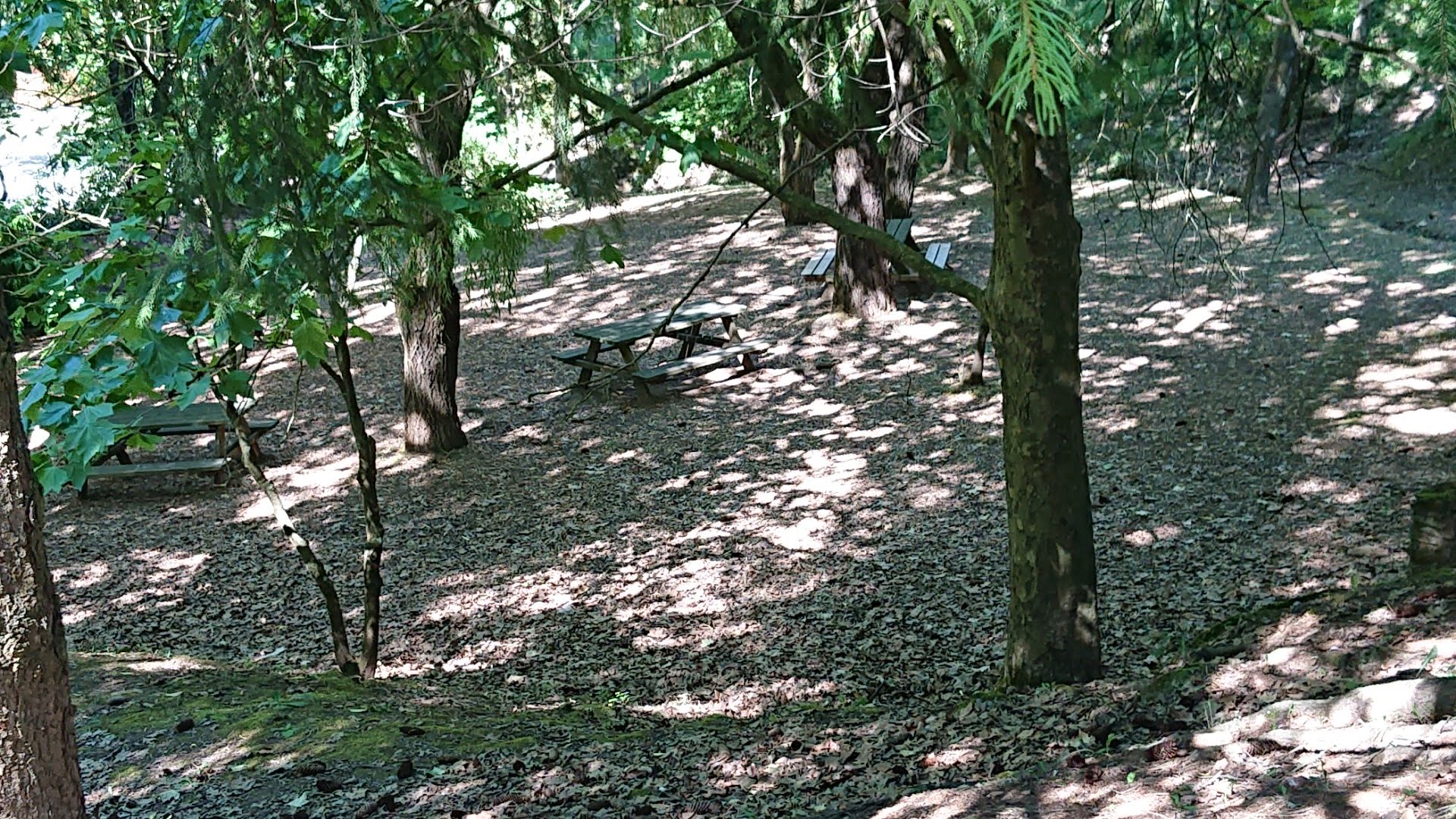 IMG20220708170858144