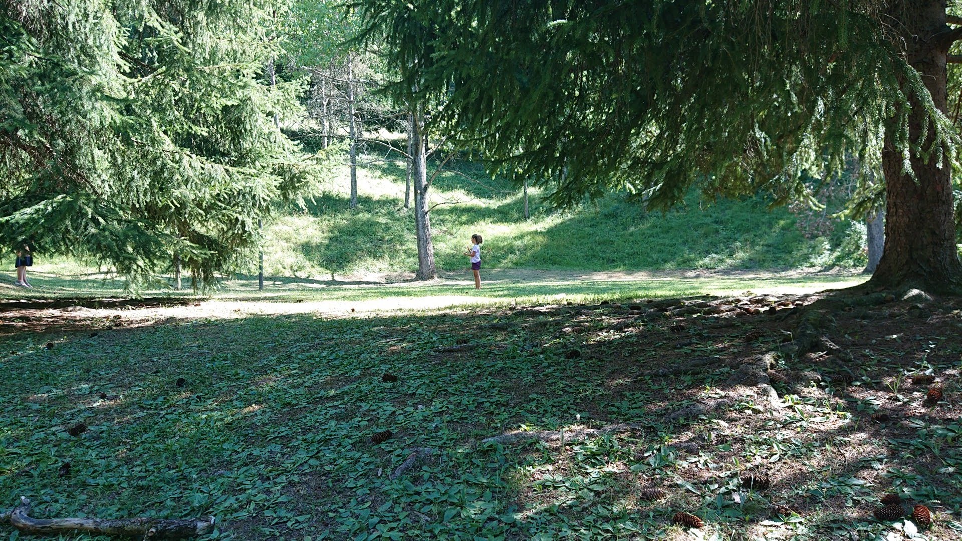 IMG20220708171001172
